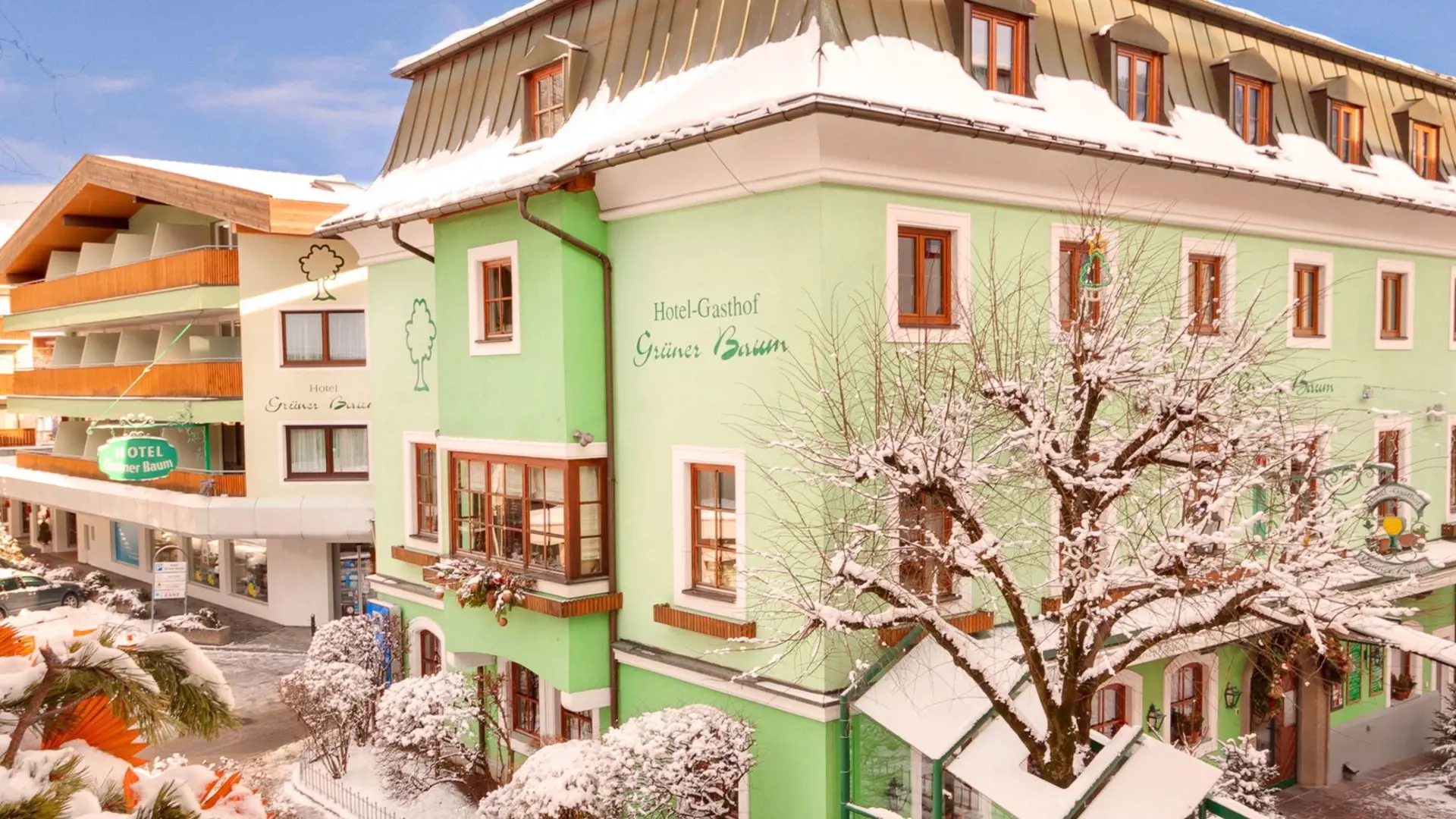 Appartment Grüner Baum